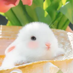 陶器の浮き玉＊夏にぴったり♪ 睡蓮鉢やメダカ鉢に - メルカリ