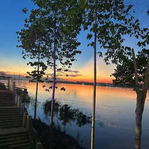 室内　植物栽培用　HPS ランプ ソーラーマックス ドイツ製 室内 植物栽培用 HPS ランプ ソーラーマックス ドイツ製 室内 植物栽培