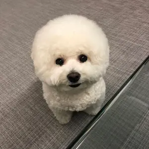 NCTDREAM ジェミン うちわ ポップアップ POPUP SPACE トレカ NCTDREAM ジェミン うちわ ポップアップ POPUP SPACE トレカ