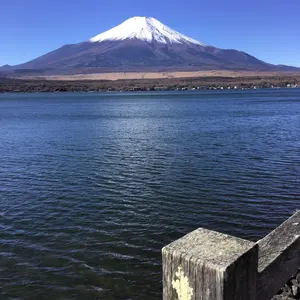 VTG 1980s エスティローダー エスティー スーパーコロン 55ml - メルカリ