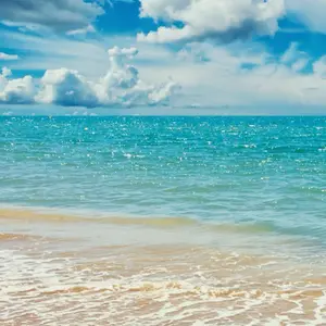 藤井セミナー 英単語 英熟語 英語構文 単語カード 塾語カード