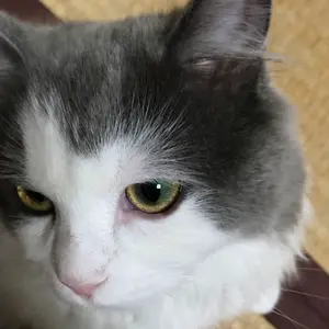 【合計6万3000円分！】ビジネス本43冊まとめ売り 合計6万3000円分！】ビジネス本43冊まとめ売り - メルカリ