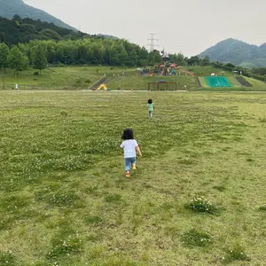 ☆*トマト*☆専用 幼児教育音感プログラム【13枚セット】 ☆*トマト*☆専用 幼児教育音感プログラム【13枚セット】 | Shop
