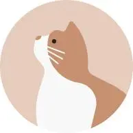 usi