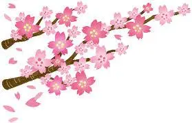 掛け軸 松に鷹 箱あり - メルカリ