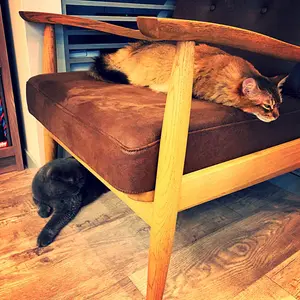 ノ*ラ様 Gucci ラウンドショルダーバッグ ブラウン/マルチカラー