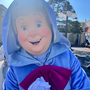 外パッケージ込で発送 デイジーク ロマンチックブロッサム企画セット 外パッケージ込で発送 デイジーク ロマンチックブロッサム企画