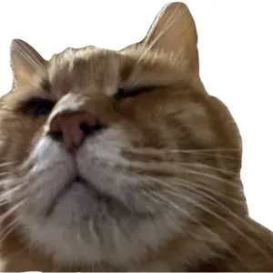 カズヨシ