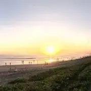 M3917 良品 CHANEL シャネル ココマーク パンプス 40 ブラック