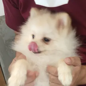マイウエイ