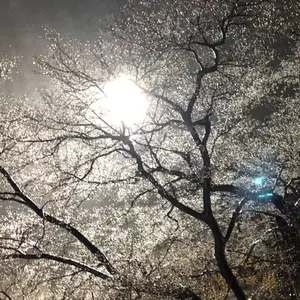 iiuvo soigne 香水　kandytown iiuvo Soigne ソワニエ KANDYTOWN io 上杉柊平 香水(ユニセックス)