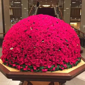 かっちゃん様☆L玉8.0kg+規格外1.0kg パッションフルーツ かっちゃん様☆L玉8.0kg+規格外1.0kg パッションフルーツ - メルカリ