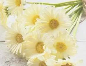 ブレマイ 渋谷ポップアップストア 缶バッジ 恩田灯世＆新名有