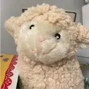 サラダページです　オーダー　ダックスフンド　犬服　ロンパース　わんこ服 サラダ様専用ページです オーダー ダックスフンド 犬服