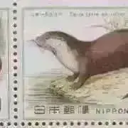 INI 松田迅 パスケース トレカ付 アイエヌアイ - メルカリ