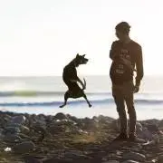 bam