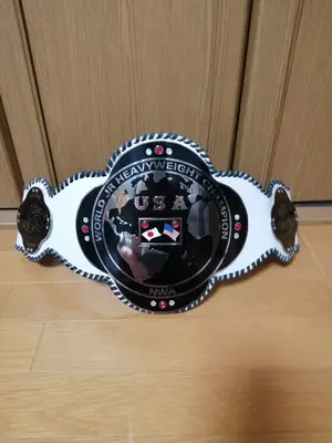 韓国プロ野球 KBO ロッテジャイアンツ#44 パク・キョンジン実