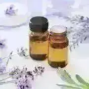 【ミントミントミントさま】PRANAROM ジャスミン 5ml プラナロム ミントミントミントさま】PRANAROM ジャスミン 5ml プラナロム