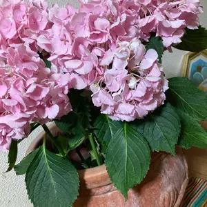 備前焼縁起物干支兎と大黒様置物です❣️ - メルカリ