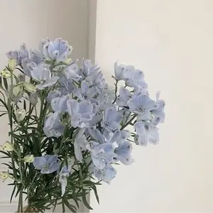 BOYNEXTDOOR プラッシュキーリング ダーリン リウ BOYNEXTDOOR キーリング リウ ダーリン ボネクド プネクド
