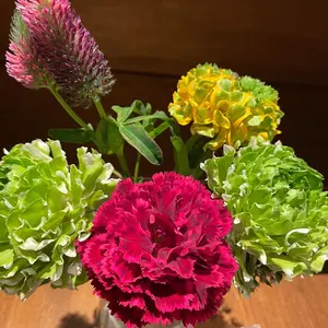マスターバニー【原英莉花】最新❣️ ボーダーフレンチスリーブハイネックカットソー マスターバニー【原英莉花】最新❣️ ボーダーフレンチスリーブ