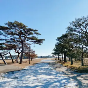 アンジュルム クリスマスFCイベント2018＆2019 2点セット - メルカリ