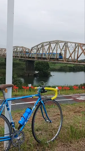 Shimano シマノ 600EX リアディレイラー アラベスク RD-6200