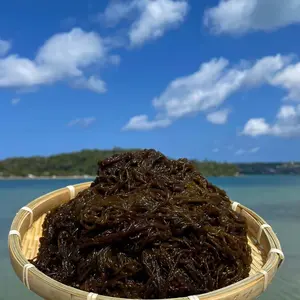 漁師直送♪沖縄県産太くて長い屋我地の塩蔵もずく10kg(1kg×10)☆送料無料 漁師直送♪沖縄県産太くて長い屋我地の塩蔵もずく10kg(1kg×10