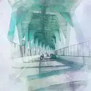 原色園芸植物図鑑 全巻 コンパクト版 7 8 9 10 林弥栄 本田正次 原色園芸植物図鑑 全巻 コンパクト版 7 8 9 10 林弥栄 本田正次