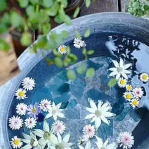 完売 journal standard luxe C/Wロングレギンス - メルカリ