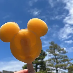 ディズニー 40周年 2024 辰年 お正月 ぬいぐるみチャーム