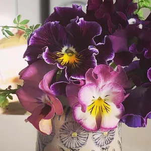 ヒロロ細工 伝統工芸品 バッグ 手提げ カゴバッグ 伝統工芸士