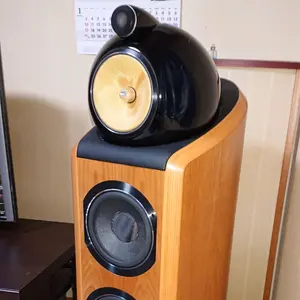 ビエラ 55インチ フラッグシップ 4K有機ELテレビ TH-55MZ2500J