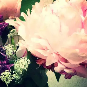 JRA welcome チャンス イヤーマフ (芦毛) | Shop at Mercari
