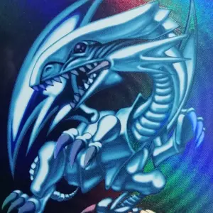 2枚 フォッシルダイナパキケファロ シークレット シク 英語版 ジャンク品 楽天市場】遊戯王 カード【フォッシル・ダイナ パキケファロ