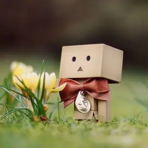 だんぼ〜❀プロフ必読❀