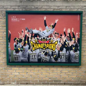 阪神タイガース 中野拓夢 ブラックダイナマイトユニフォームL 新品 black 阪神タイガース 中野拓夢 ブラックダイナマイトユニフォームL