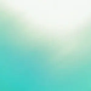 つるまいかだ】#なぴかわ PRIVATE GUIDEBOOK - メルカリ