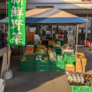 農薬不使用　Mから3Lサイズ　紅はるか20キロ 農薬不使用 Mから3Lサイズ 紅はるか20キロ｜Yahoo!フリマ（旧