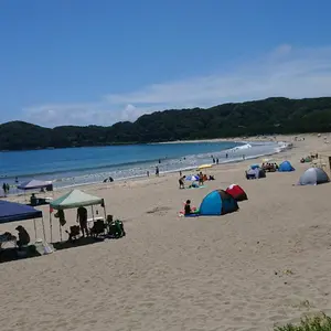 grow 字光式 ナンバープレート 富士山ナンバー 【4444】 1枚