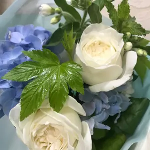 大きいサイズクミキョク CHAIニットバイカラーカーディガン(23区