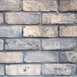ウゴウゴ
