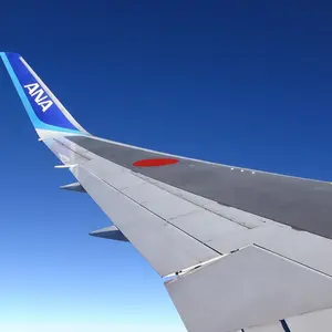 ANA B787 787-8 JA801A 1/400 全日空商事 鯖塗装 - メルカリ