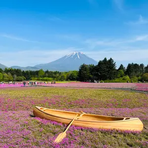 パステル喜上眉梢紋水盆 景徳鎮 陶磁器 装飾品 現代工芸品 美術品 置物 パステル喜上眉梢紋水盆 景徳鎮 陶磁器 装飾品 現代工芸品 美術