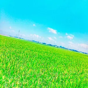 リコルド Deto90 Finesse ディート90 フィネス - メルカリ