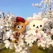 レア おきがえリラックマ うさぎのパンツと帽子 新品未開封 リラックマ おきがえリラックマ うさぎぼパンツと
