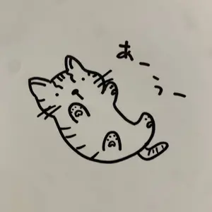 仮面ライダーオーズ 火野映司 着用 衣装 エスニック シャツ