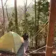 Y.Yamada 山田雄三 作 バイオリン 4/4 バイオリンとケースのみ