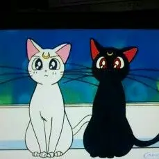 ダリアマリア　ブロマイド　ZiDol ダリアマリア ブロマイド ZiDol - メルカリ