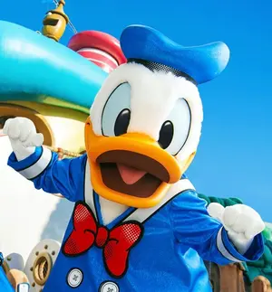 もえページ　モフ尻　仮装　ディズニー　ハロウィン　デイジー もえ様専用ページ モフ尻 仮装 ディズニー ハロウィン デイジー